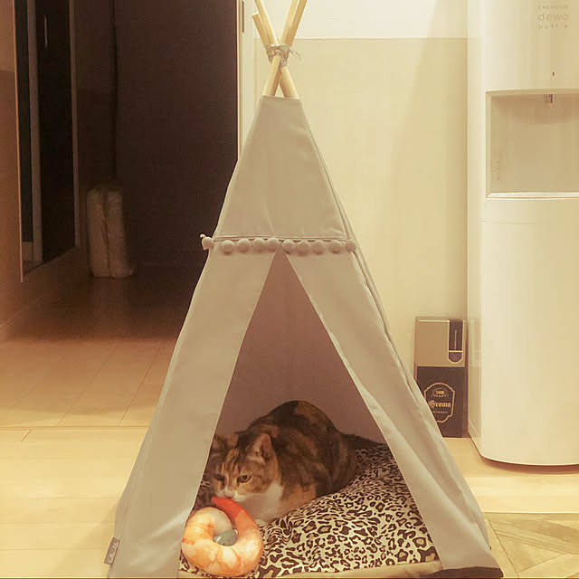 Chihiroさんの実例写真