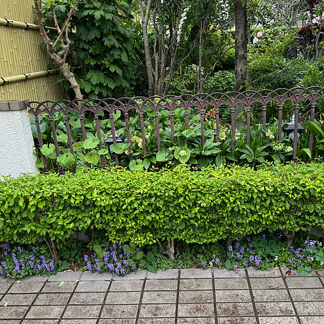 mamizaさんの部屋