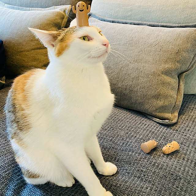 jill_lowさんの実例写真