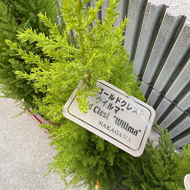 miffy.0044さんの部屋