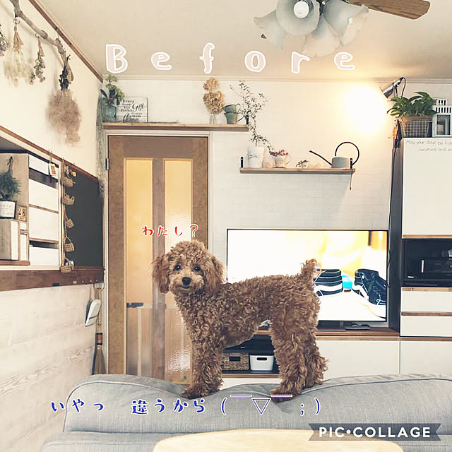 nikoさんの実例写真