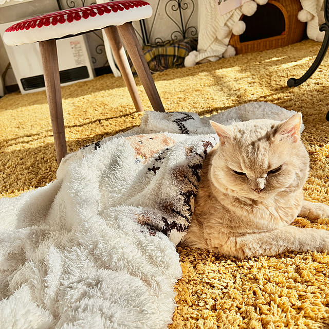 naokoさんの部屋