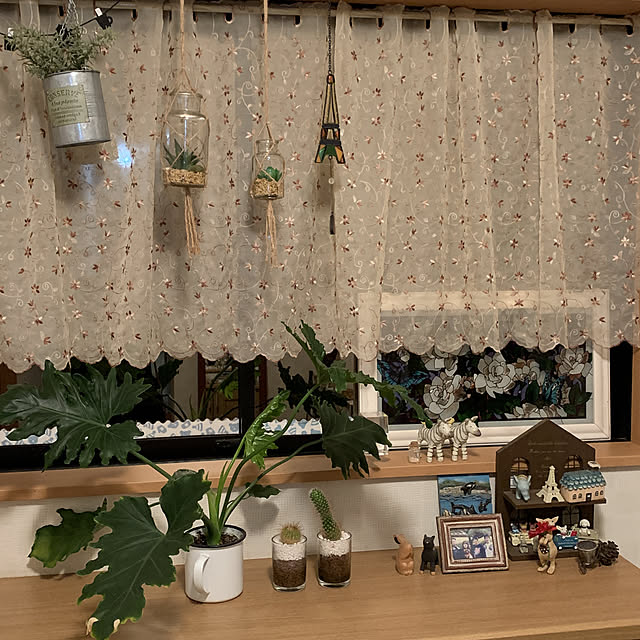 moko7ruiさんの実例写真