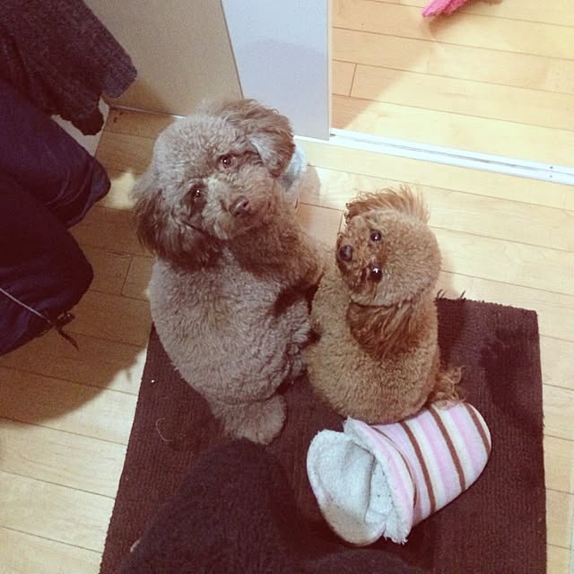 Erinaさんの実例写真