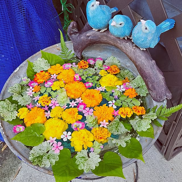 mocomocoさんの部屋