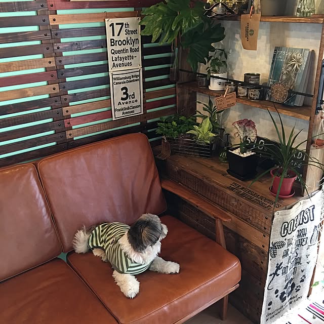 ANNAさんの実例写真