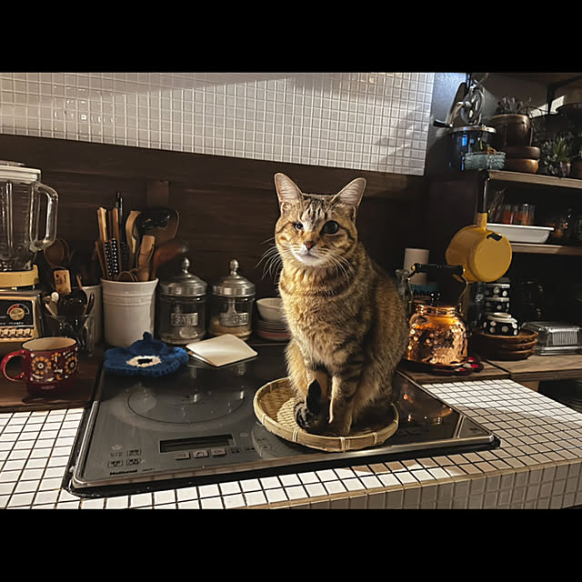 marusanさんの実例写真