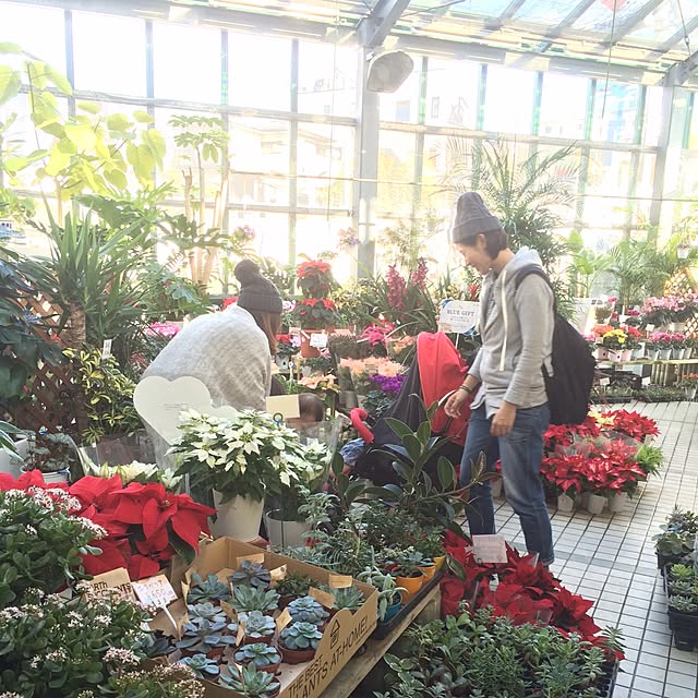 kanta88さんの実例写真