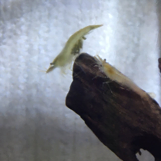 magさんの実例写真