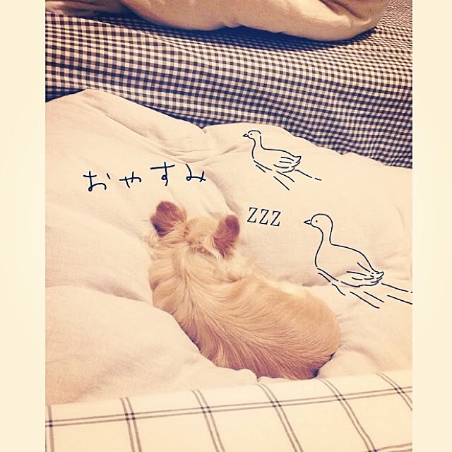 mamiさんの実例写真