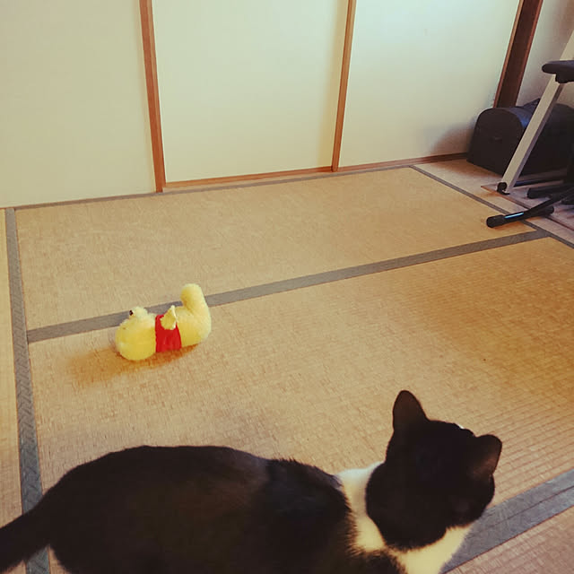 okyosan101さんの実例写真