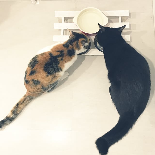 s.uraさんの実例写真