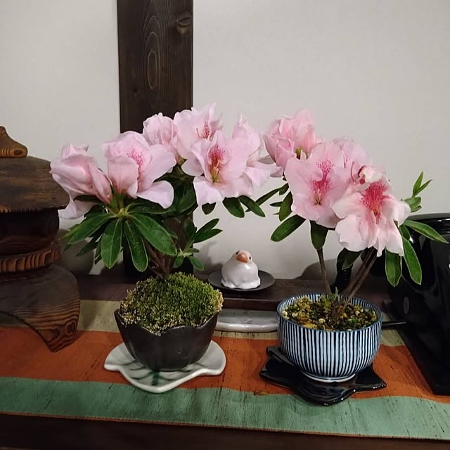 5160ksさんの実例写真