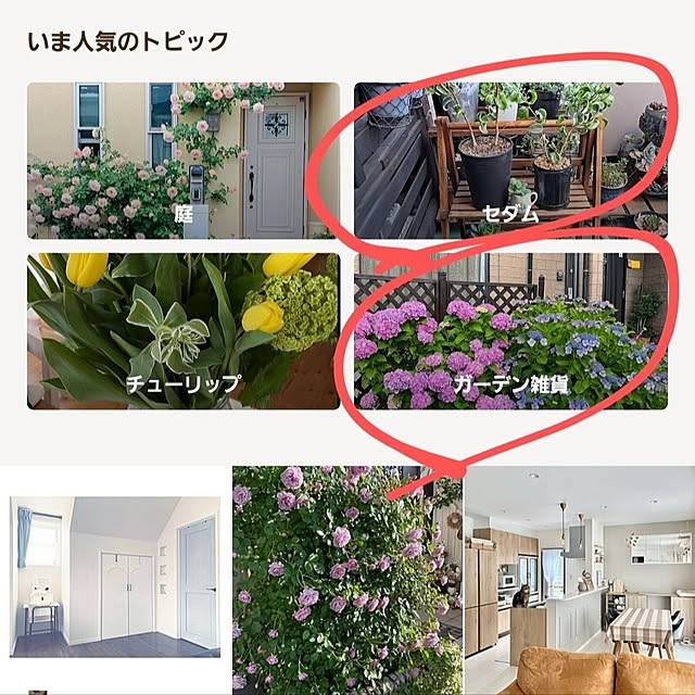 noaさんの実例写真