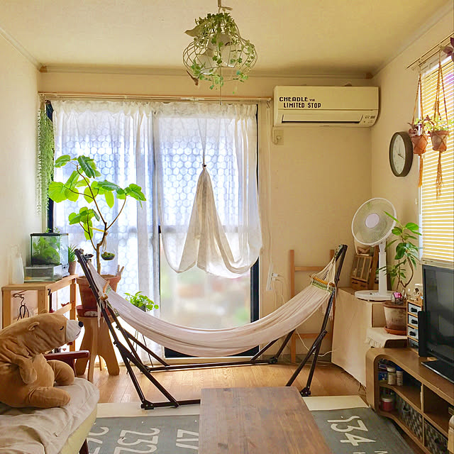 ナチュラルインテリア/夏仕様に模様替え/植物のある部屋/グリーンのある暮らし/植物が好き...などのインテリア実例 - 2021-07-11 13:36:44