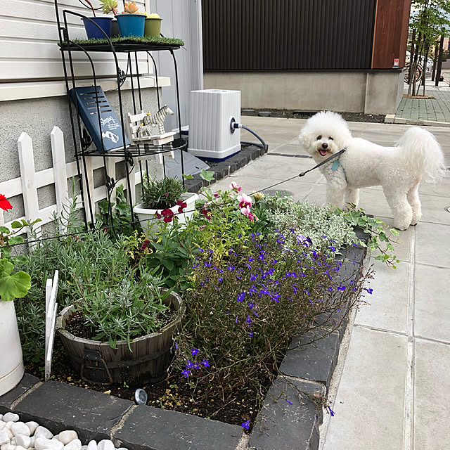 unichanさんの実例写真