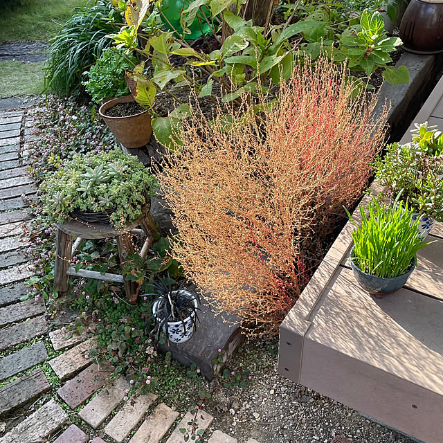 nobikoさんの部屋