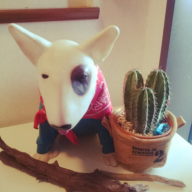 yuu__suzumeさんの実例写真