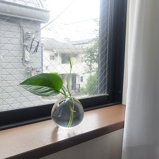 lala_moraさんの実例写真