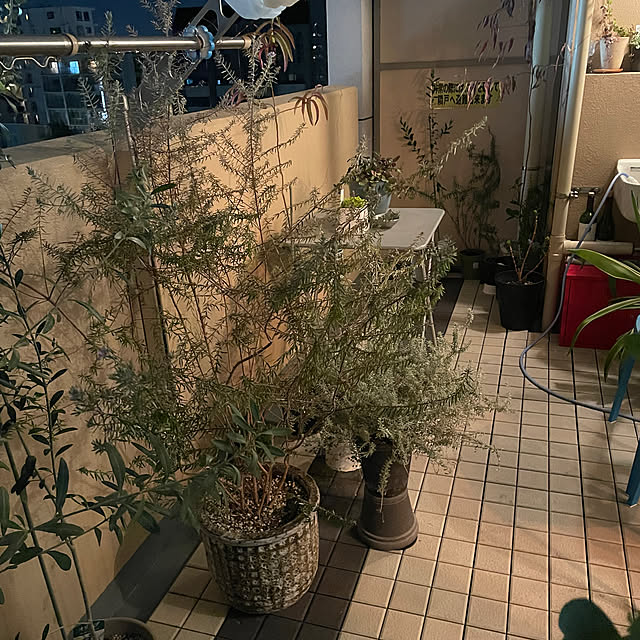 natsuさんの部屋