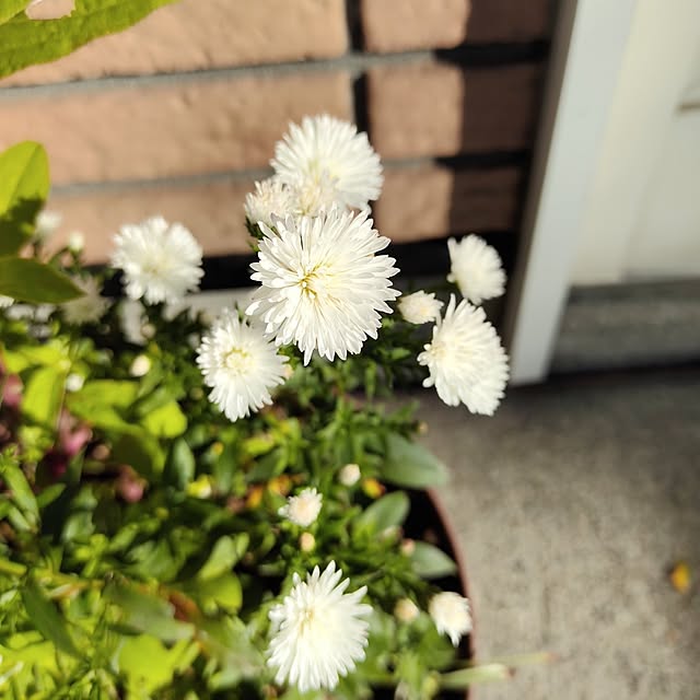kiraさんの部屋