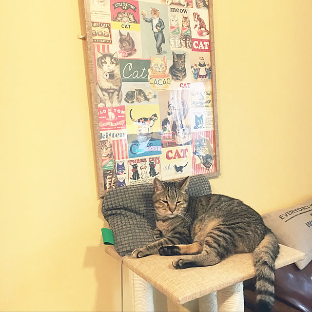Miechamさんの実例写真