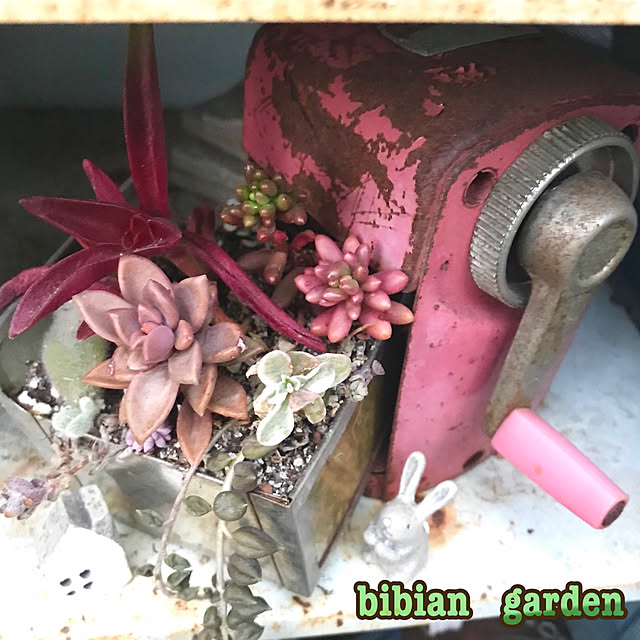 bibianさんの実例写真