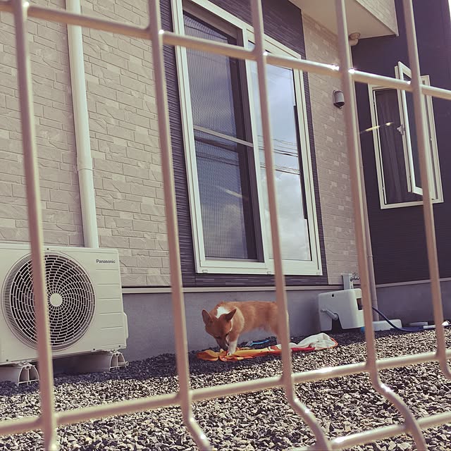 Emiさんの実例写真