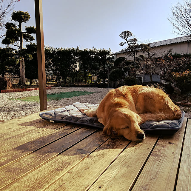 woodyさんの実例写真