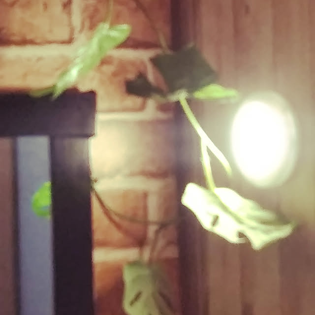 runaさんの実例写真