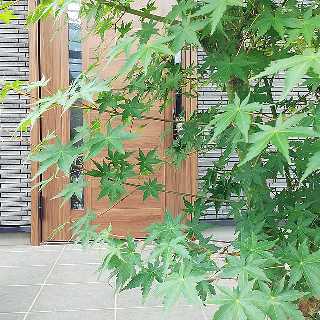 ayaさんの実例写真