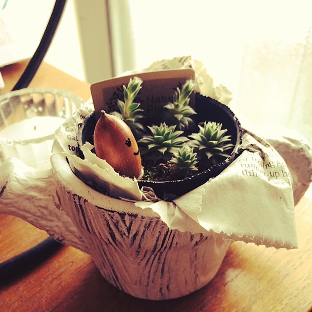 Erikoさんの実例写真
