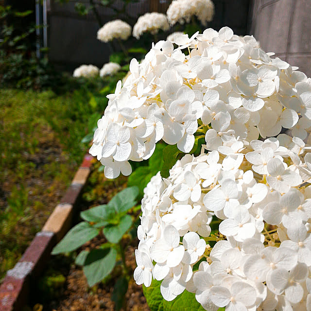 2933さんの実例写真