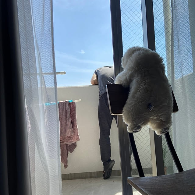 sinsinさんの実例写真