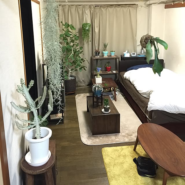 tadaさんの実例写真