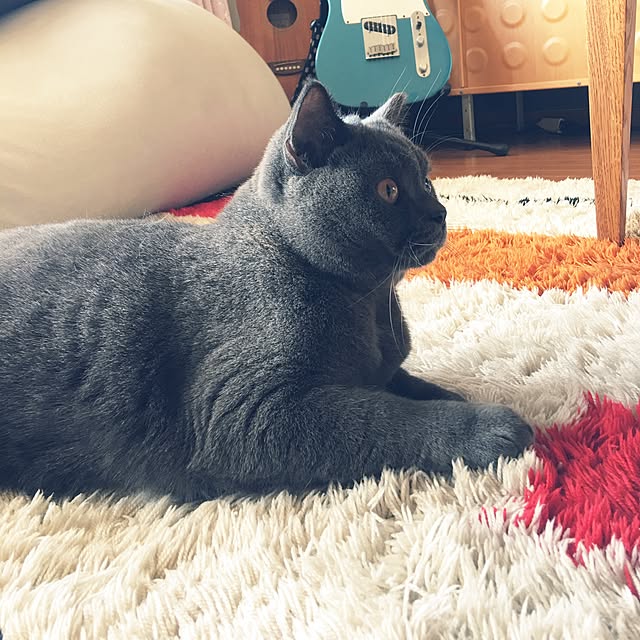 Shojiさんの実例写真
