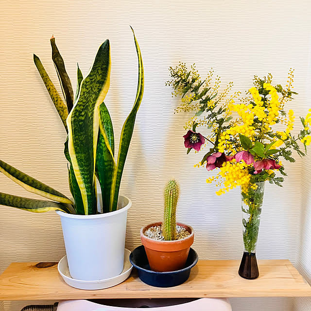 tomorinさんの実例写真