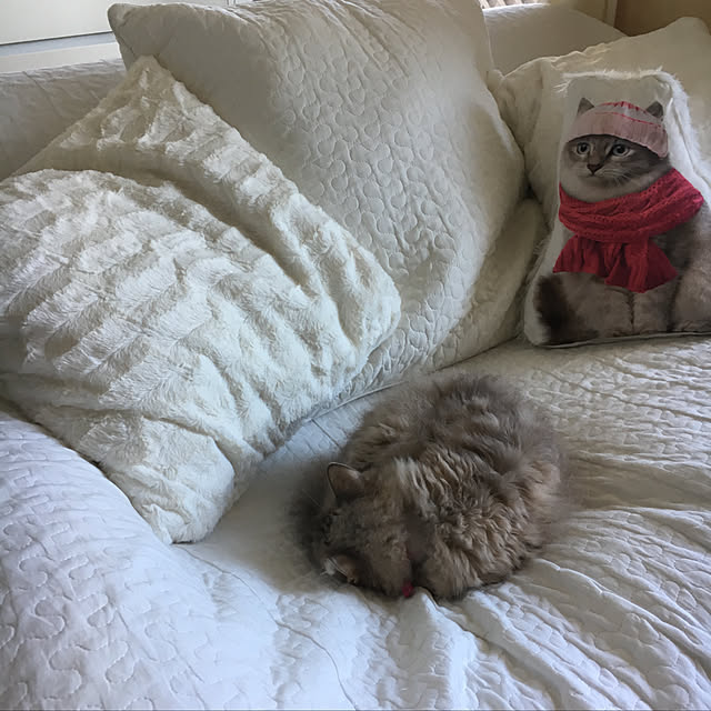 sakuracoさんの実例写真