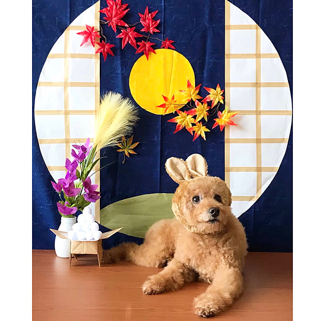 Riku2009さんの部屋