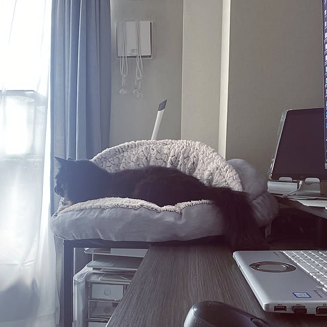 akihcclipさんの実例写真