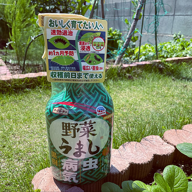 seiさんの実例写真