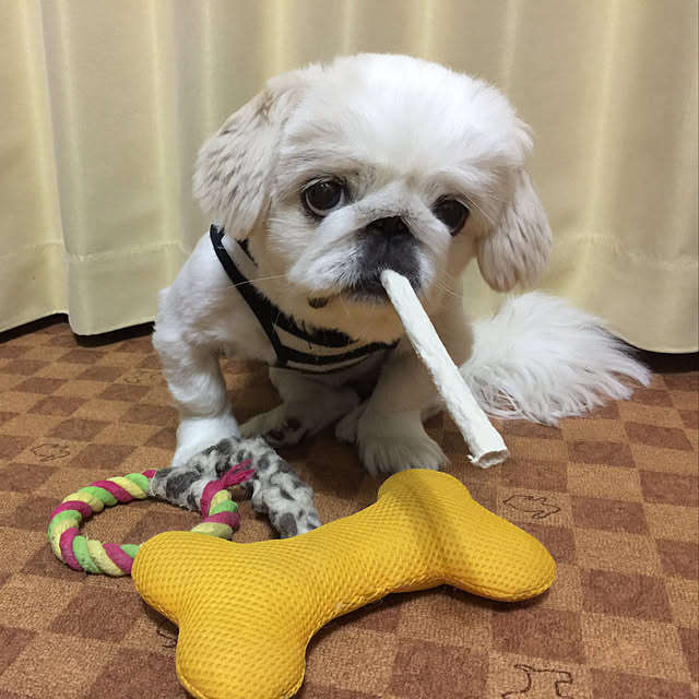 peko226さんの実例写真