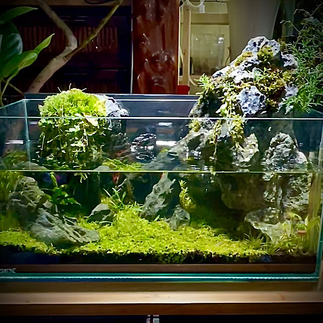 ginjiさんの部屋