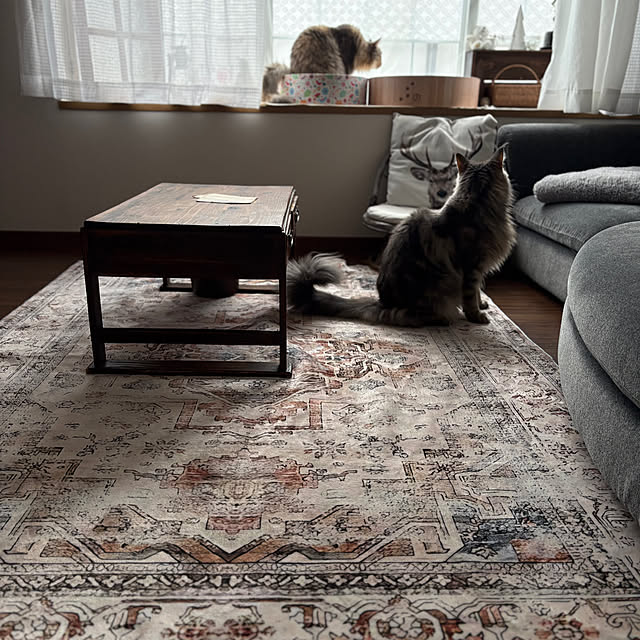 mayumiさんの部屋