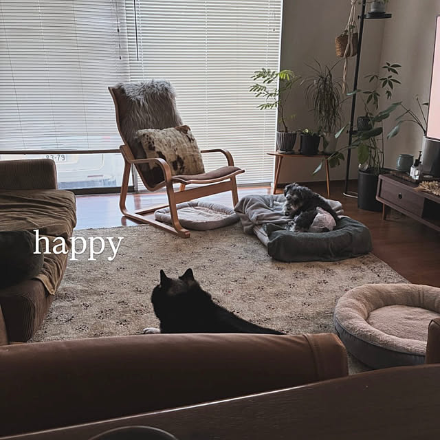 Megumiさんの実例写真