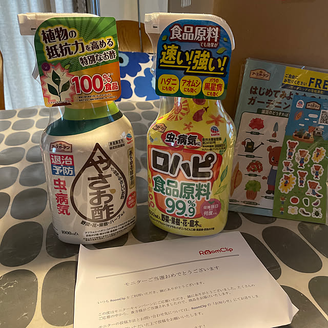 RAGIさんの実例写真