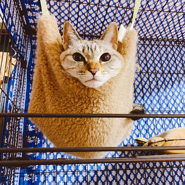 taoさんの実例写真