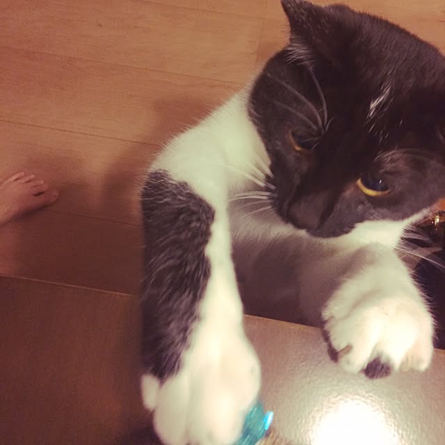 taeさんの実例写真