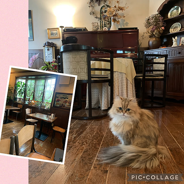 Aqettyさんの実例写真
