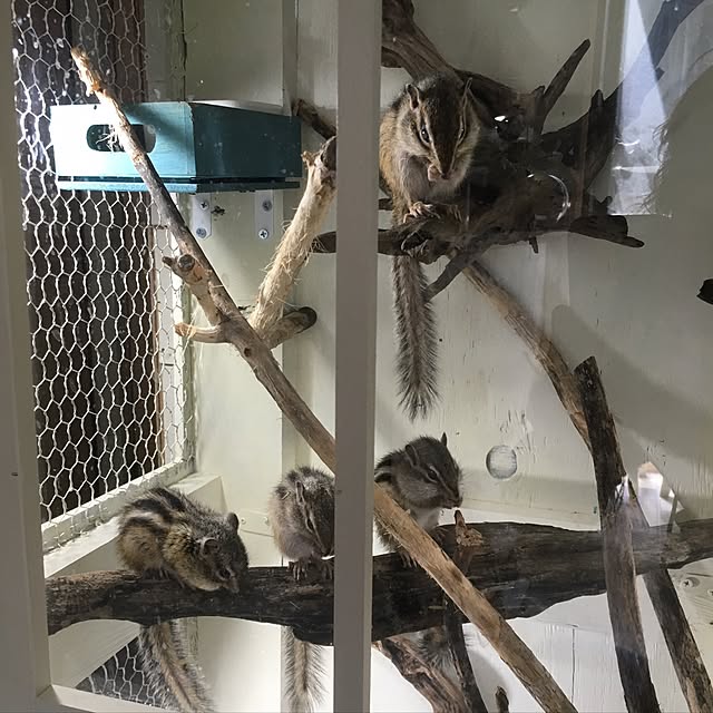 Rokiさんの実例写真